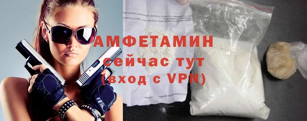 молекула духа Богородицк