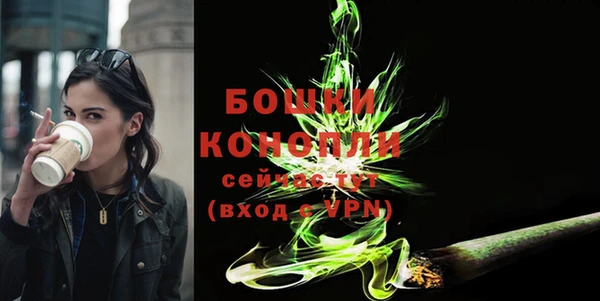 молекула духа Богородицк