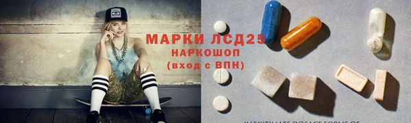 молекула духа Богородицк