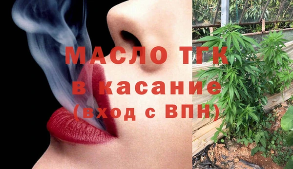 молекула духа Богородицк