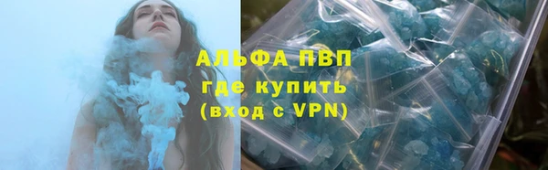 молекула духа Богородицк