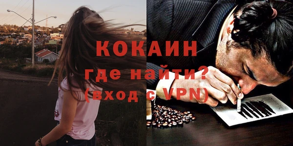 молекула духа Богородицк