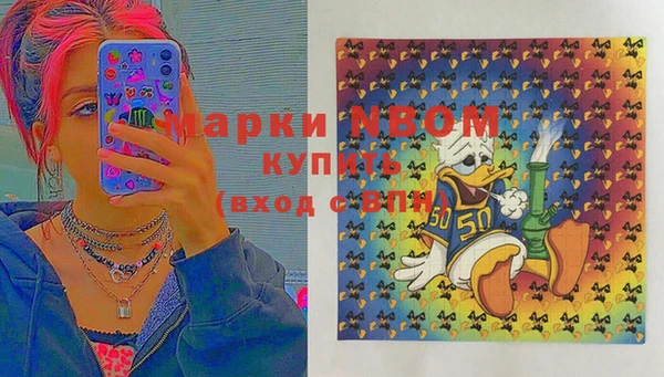 молекула духа Богородицк
