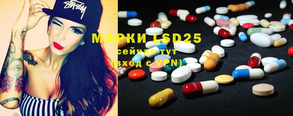 молекула духа Богородицк