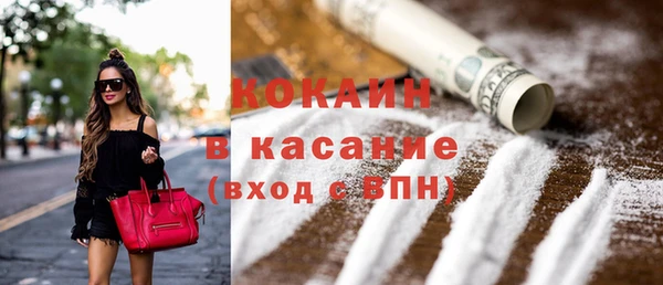 молекула духа Богородицк