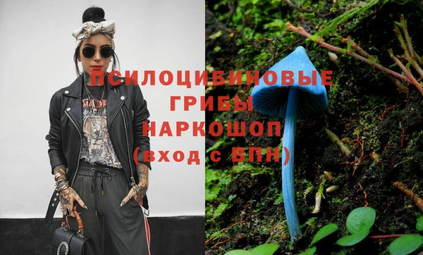 молекула духа Богородицк